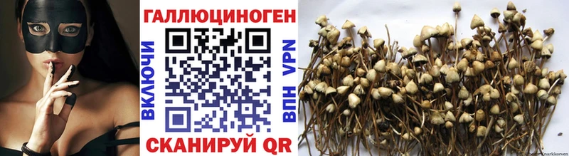 Псилоцибиновые грибы мицелий  Боровичи 